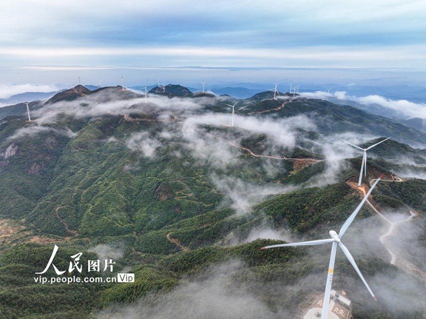 胡可晒俩娃近照：安吉帅回来，小鱼儿呆萌